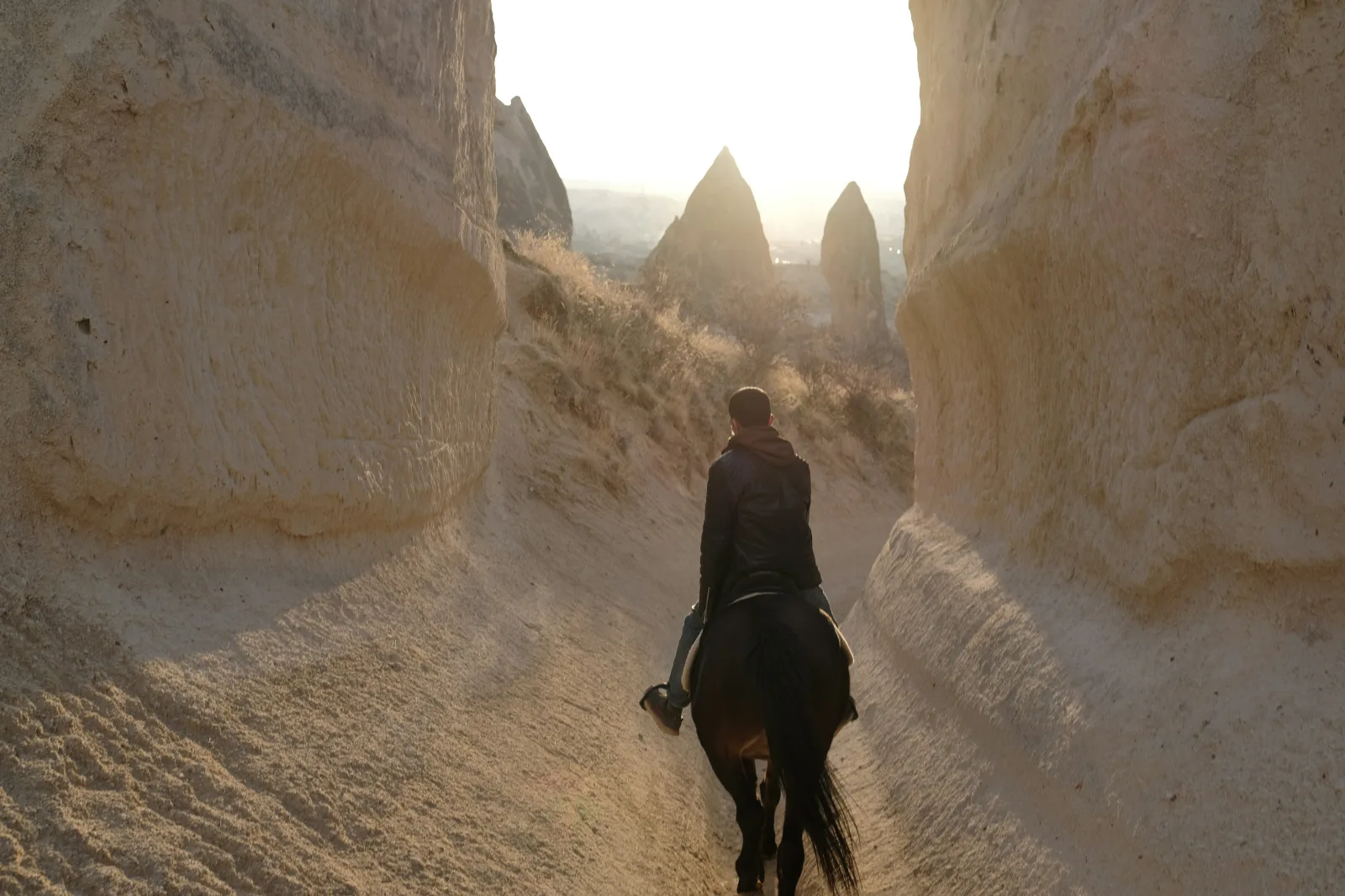 ATV, Horse & Jeep Safari